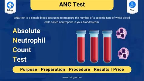 segs blood test high|Absolute neutrophil count .